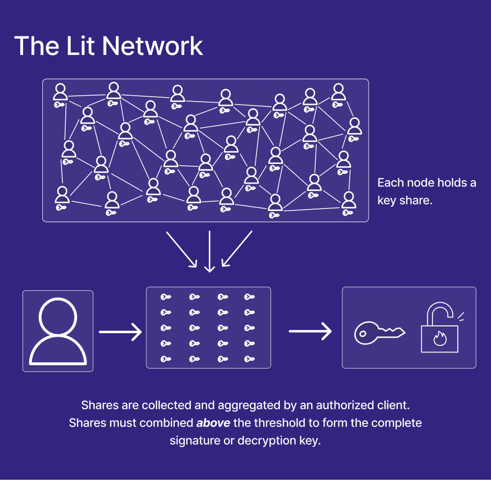 networkOverview